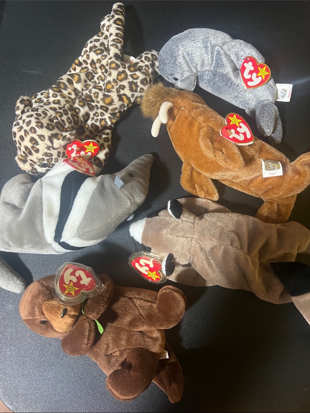 Ty Beanie Babies Plush Set - Brown, Tan, Gray, Cream, Black (6)